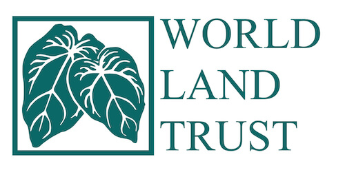 WLT Green Logo